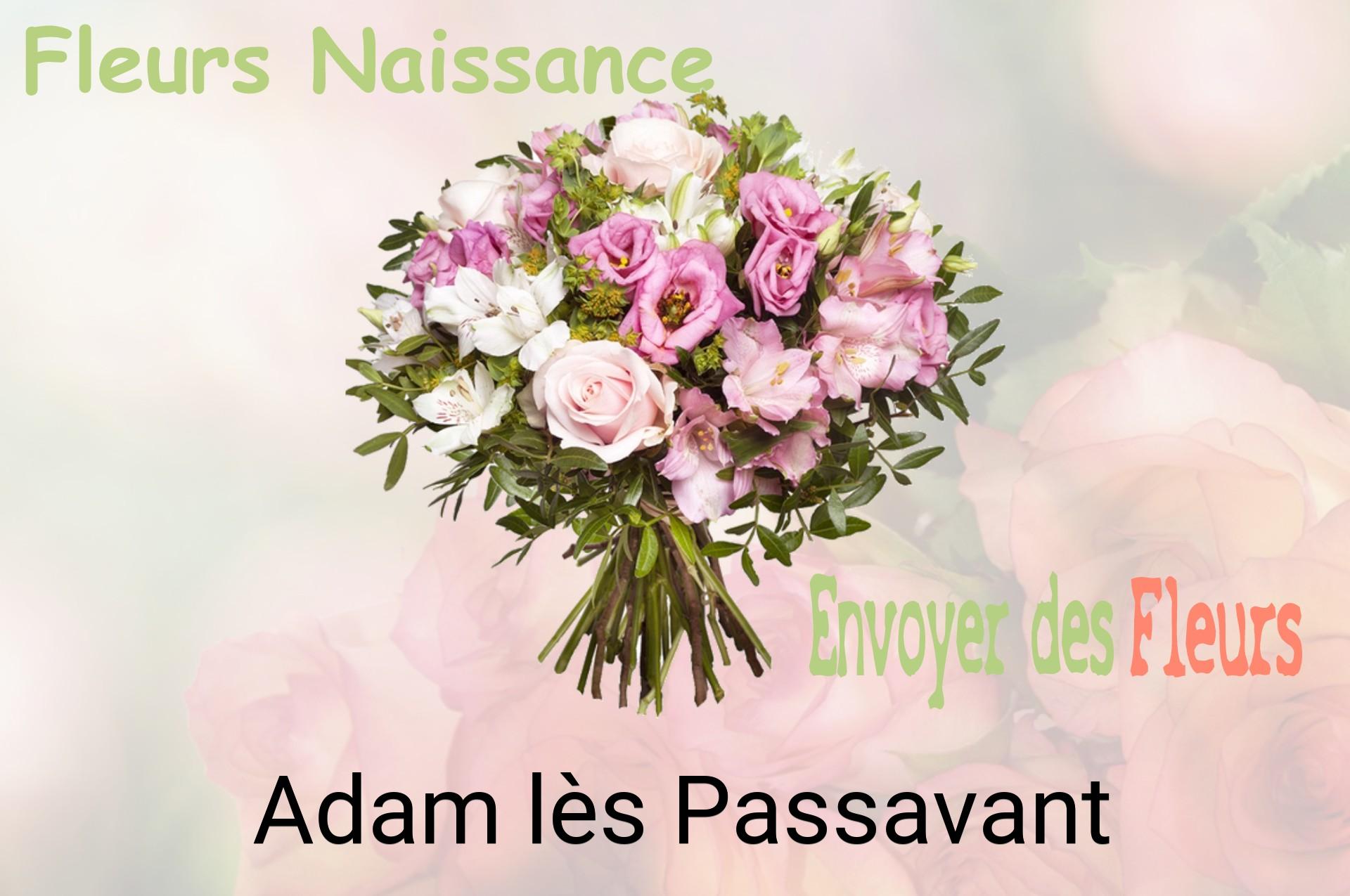 Bouquet de fleurs de naissance livré à Adam-lès-Passavant